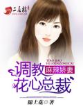 麻辣娇妻：调教花心总裁