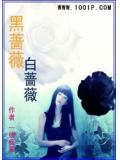 黑蔷薇白蔷薇