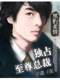 黑豹柔情:独占至尊总裁