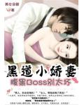 黑道小娇妻：腹黑BOSS别太坏