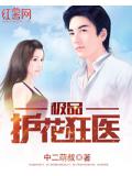极品护花狂医