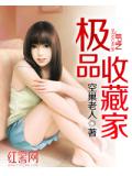 极品收藏家