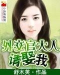外交官大人,请娶我