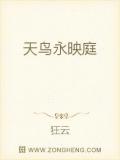 天鸟永映庭