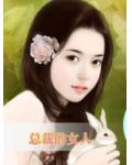 总裁的女人