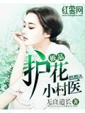 极品护花小村医
