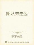 爱从未走远