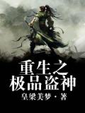 重生之极品盗神