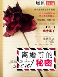 离婚前的秘密