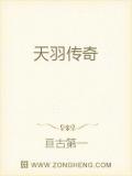 天羽传奇