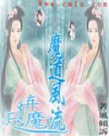 天道弃魔之魔道风流