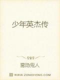 少年英杰传
