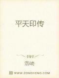 平天印传
