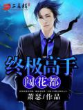 终极高手闯花都