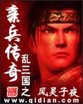 乱三国之亲兵传奇