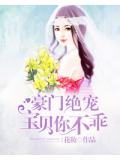 七夜强宠：宝贝，继续