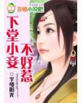 下堂小妾不好惹