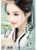 公主不为妃