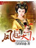 凤起天下