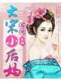 大宋小后妈
