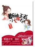 断袖王爷小逃妃