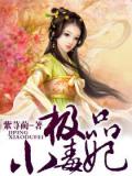 极品小毒妃
