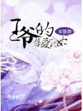 王爷的孽爱宠妃