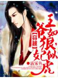 穿越:王爷如狼,妃似虎