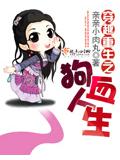 穿越重生之狗血人生