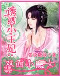 诱惑小王妃