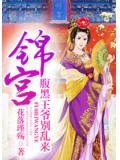 锦宫：腹黑王爷别乱来