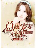 霸爱无限：总裁宠妻无下限