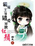 霸道王爷错爱异世红颜