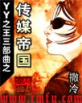 yy之王三部曲之传媒帝国