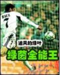 绿茵全能王