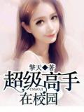 超级高手在校园