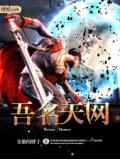 吾名天网