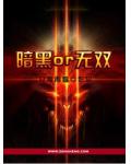暗黑or无双
