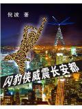 闪豹侠威震长安都