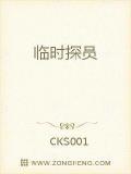 临时探员
