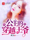 公主的穿越王爷