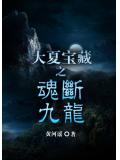 大夏宝藏之魂断九龙