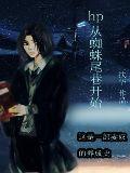 hp从蜘蛛尾巷开始