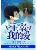 主宰我的爱