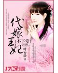 代嫁王妃不下堂