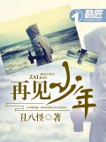 再见少年