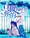 只做你的四叶草
