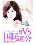 国民老公好V5