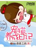 宠猫养成日记