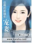总裁的新婚失宠妻